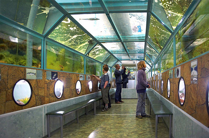 Тоннельный морской аквариум «Батискаф»