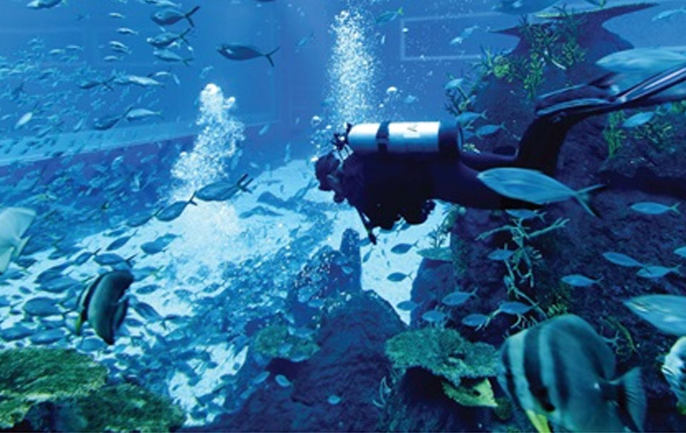 SEA Aquarium - Сингапур