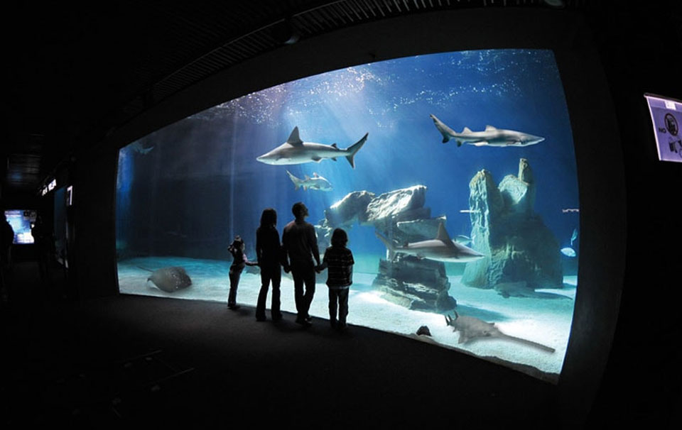 Aquarium of Genoa - Италия