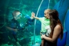 Reef HQ Aquarium - Австралия