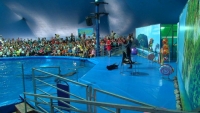 Открытие дельфинария в Алматы отметили благотворительным шоу