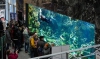 Панорамный аквариум в ТРЦ &quot;Мега ГРИНН&quot; - (Белгород)