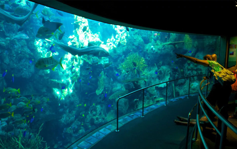 Aquarium of the Pacific - США