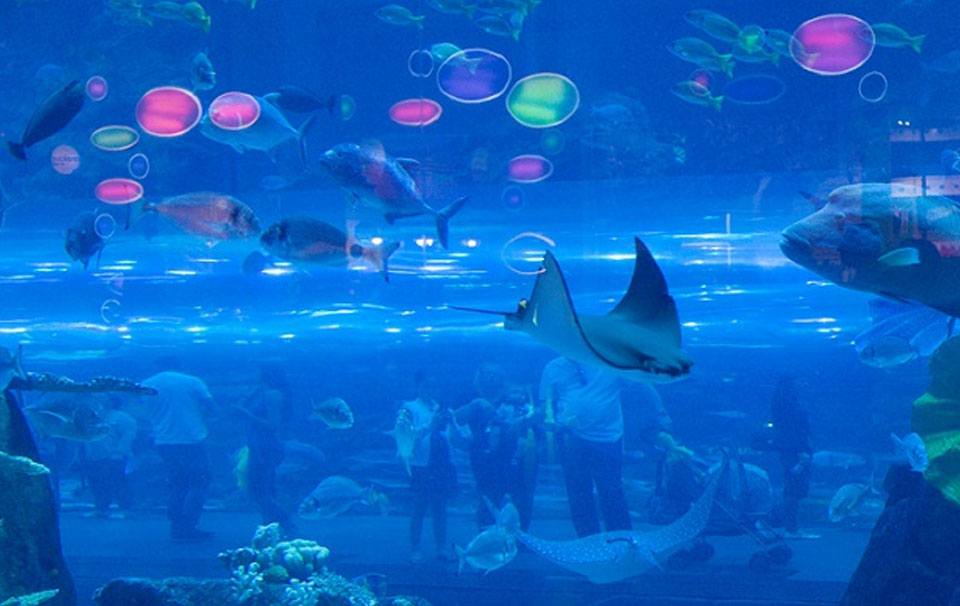 Hurghada Grand Aquarium - Египет