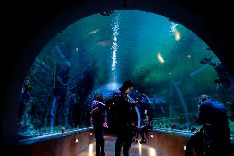 Living Planet Aquarium - Юта