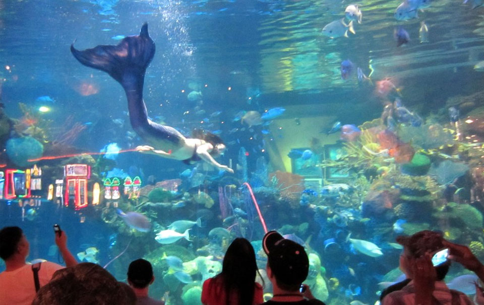 Silverton Aquarium - США