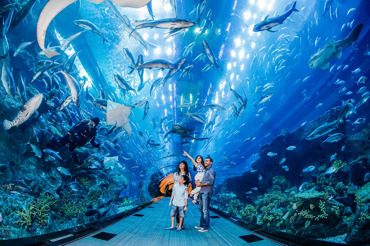 Dubai Aquarium & Underwater Zoo ОАЭ