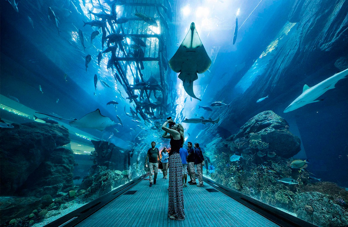 Dubai Aquarium & Underwater Zoo ОАЭ
