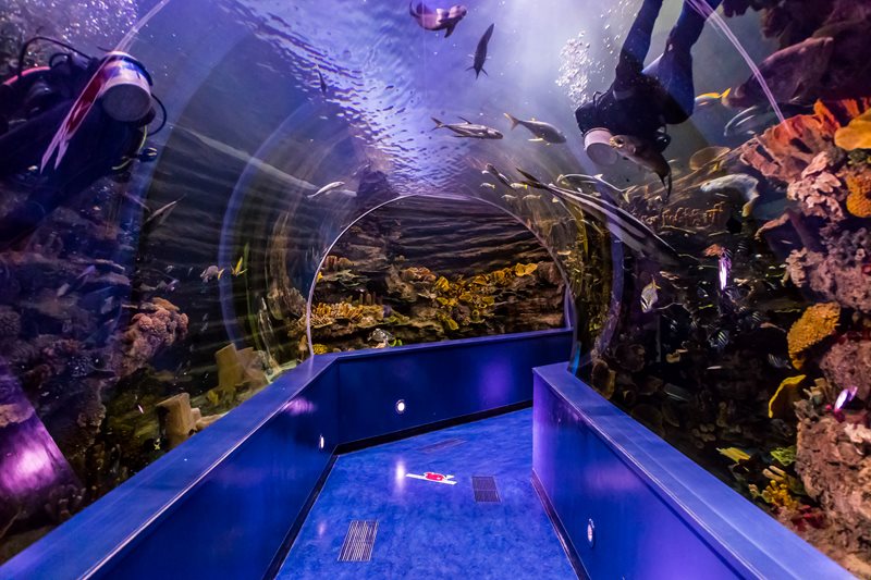 Sharjah Aquarium ОАЭ