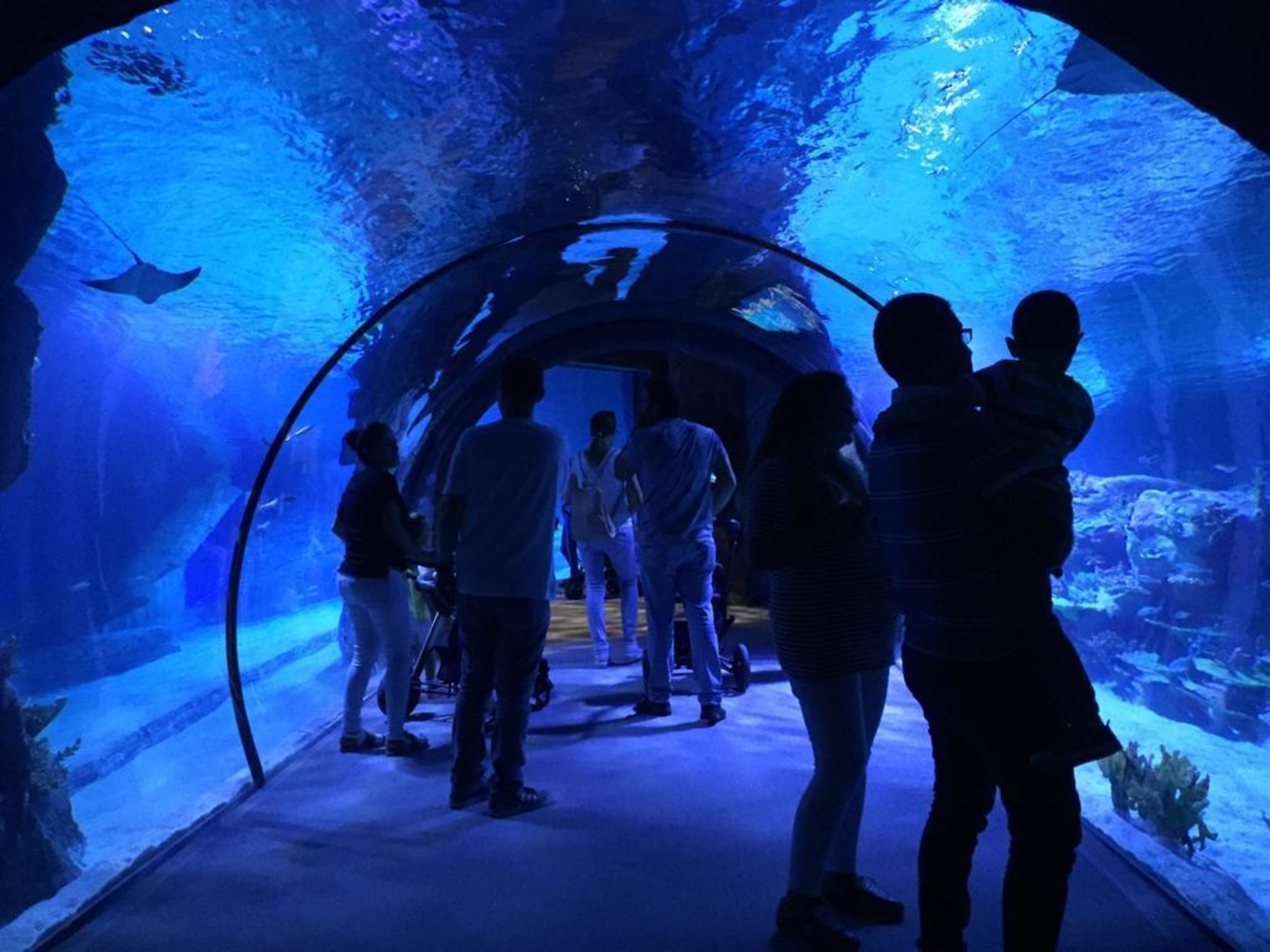 Океанариум Fantastic Aquariums Измир
