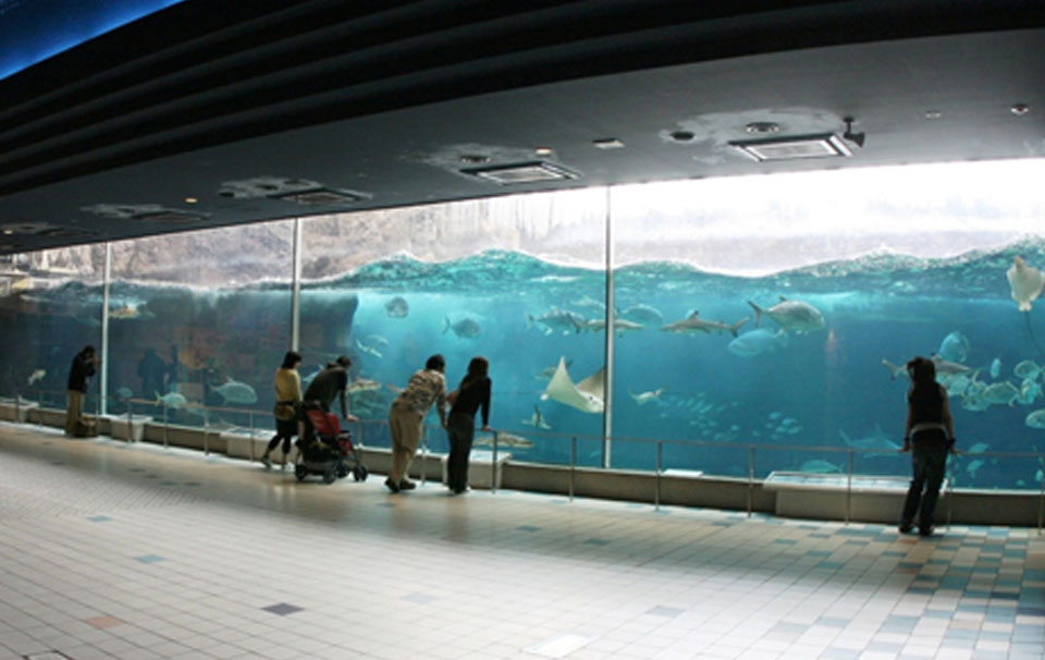 Suma Aqualife Park - Япония