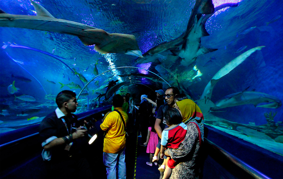 Океанариум Aquaria Куала-Лумпур
