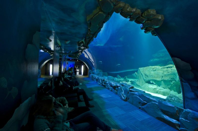 Aquarium de Paris Франция
