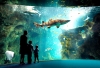 Aquarium de Paris Франция