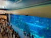 Dubai Aquarium &amp; Underwater Zoo ОАЭ